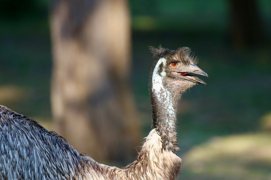 best places to visit in Australia