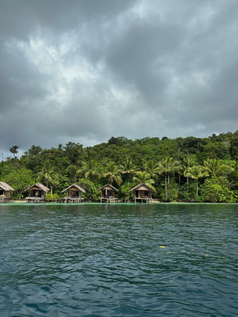 Meos Ambower Raja Ampat