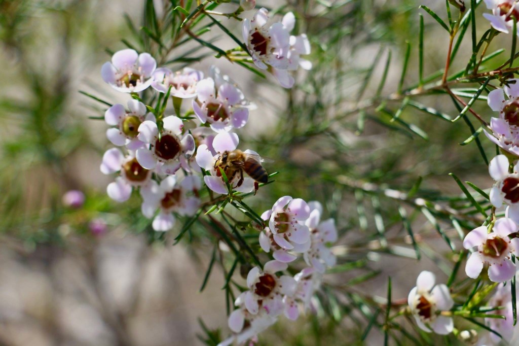 best places to visit in Australia