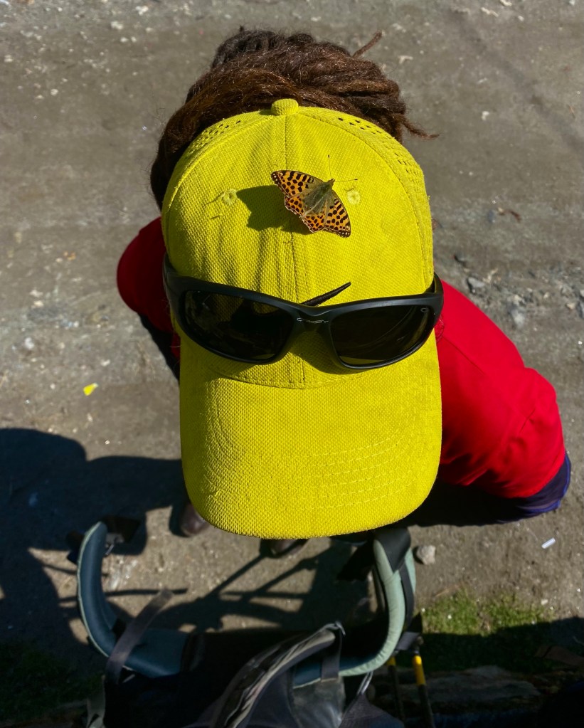 annapurna circuit trek