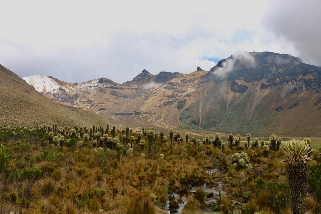 Los Nevados National Park – Paramillo del&nbsp;Quindio