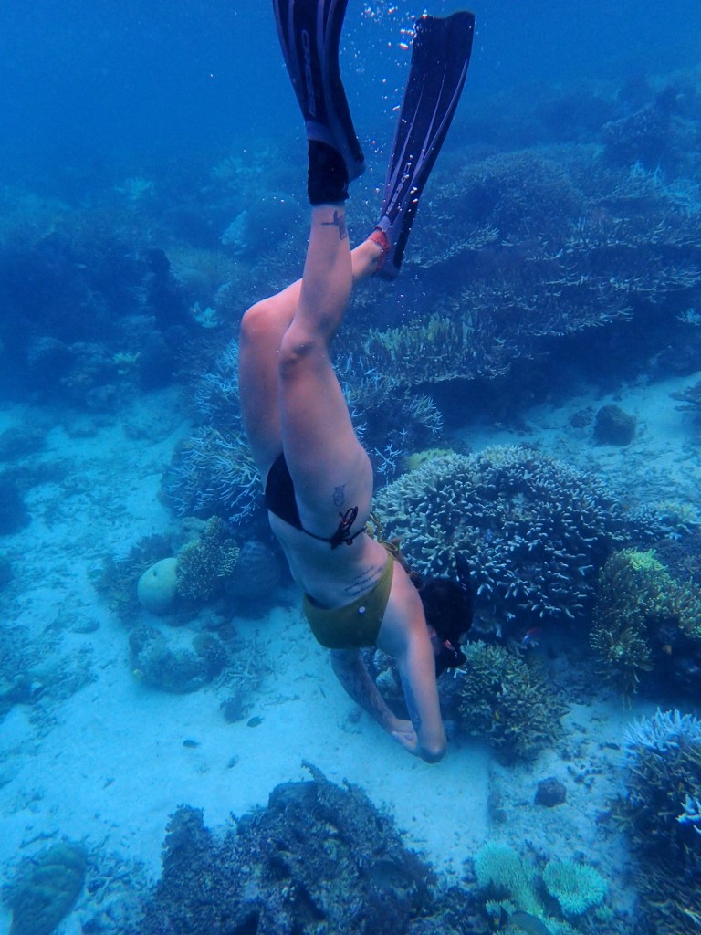 Free dive Raja Ampat