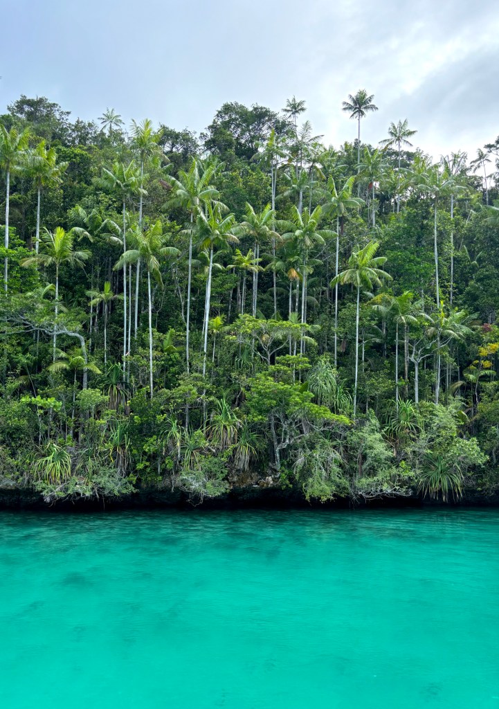 Wayag Raja Ampat