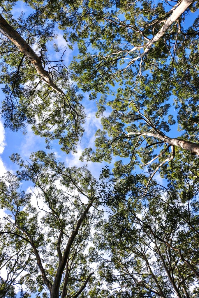 best places to visit in Australia