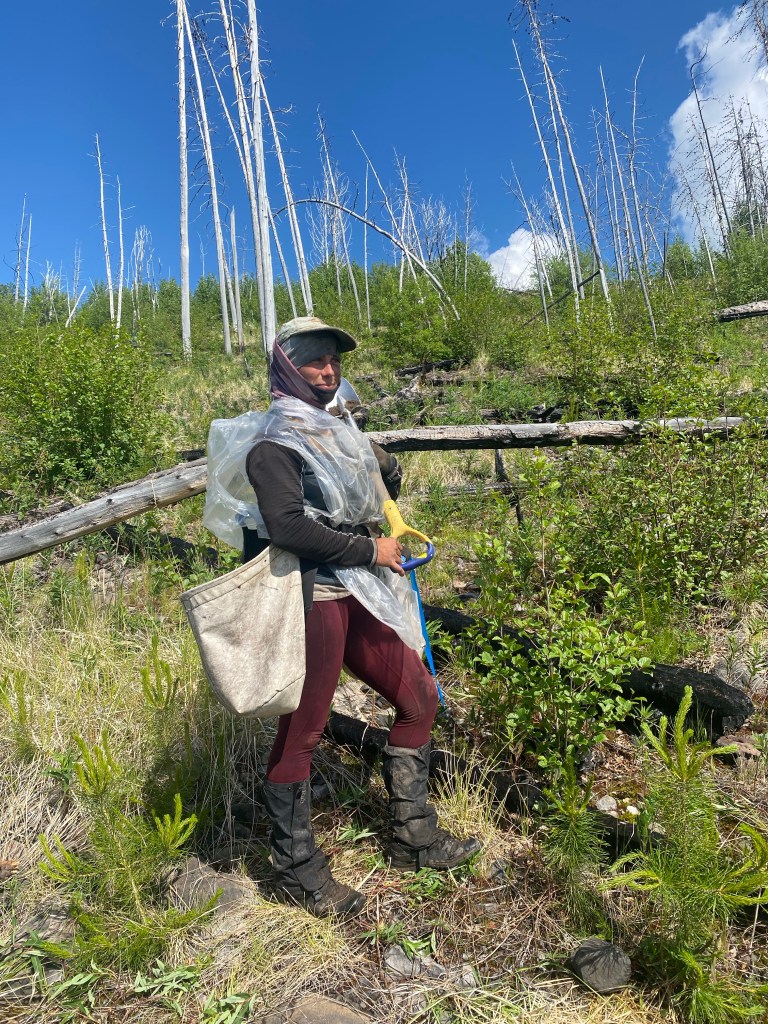 tree planting work wear